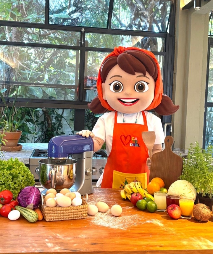 Mascote fantasia porco, fantasia, mascote, mascota, boneco de vestir, boneco cabeção