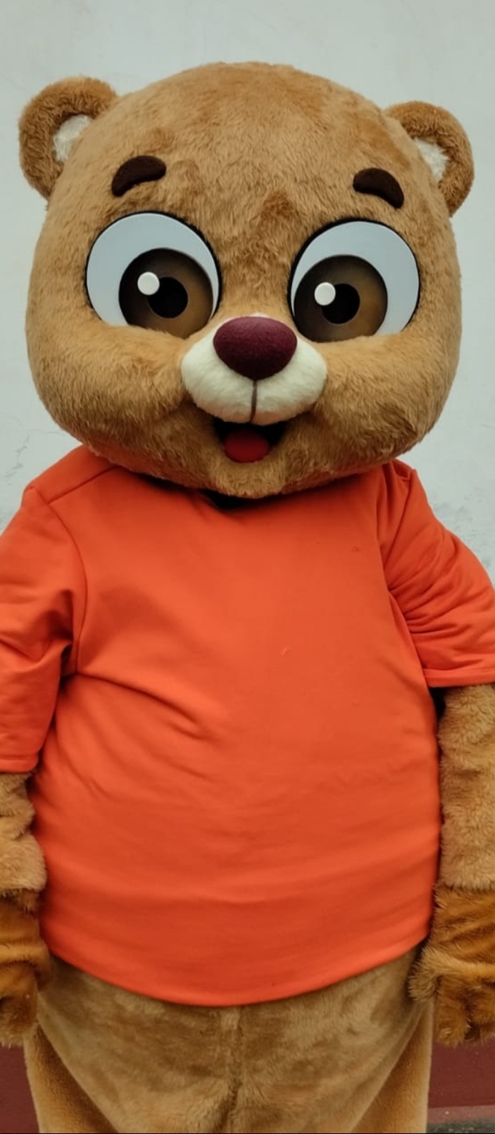 Mascote fantasia urso, fantasia, mascote, mascota, boneco de vestir, boneco cabeção