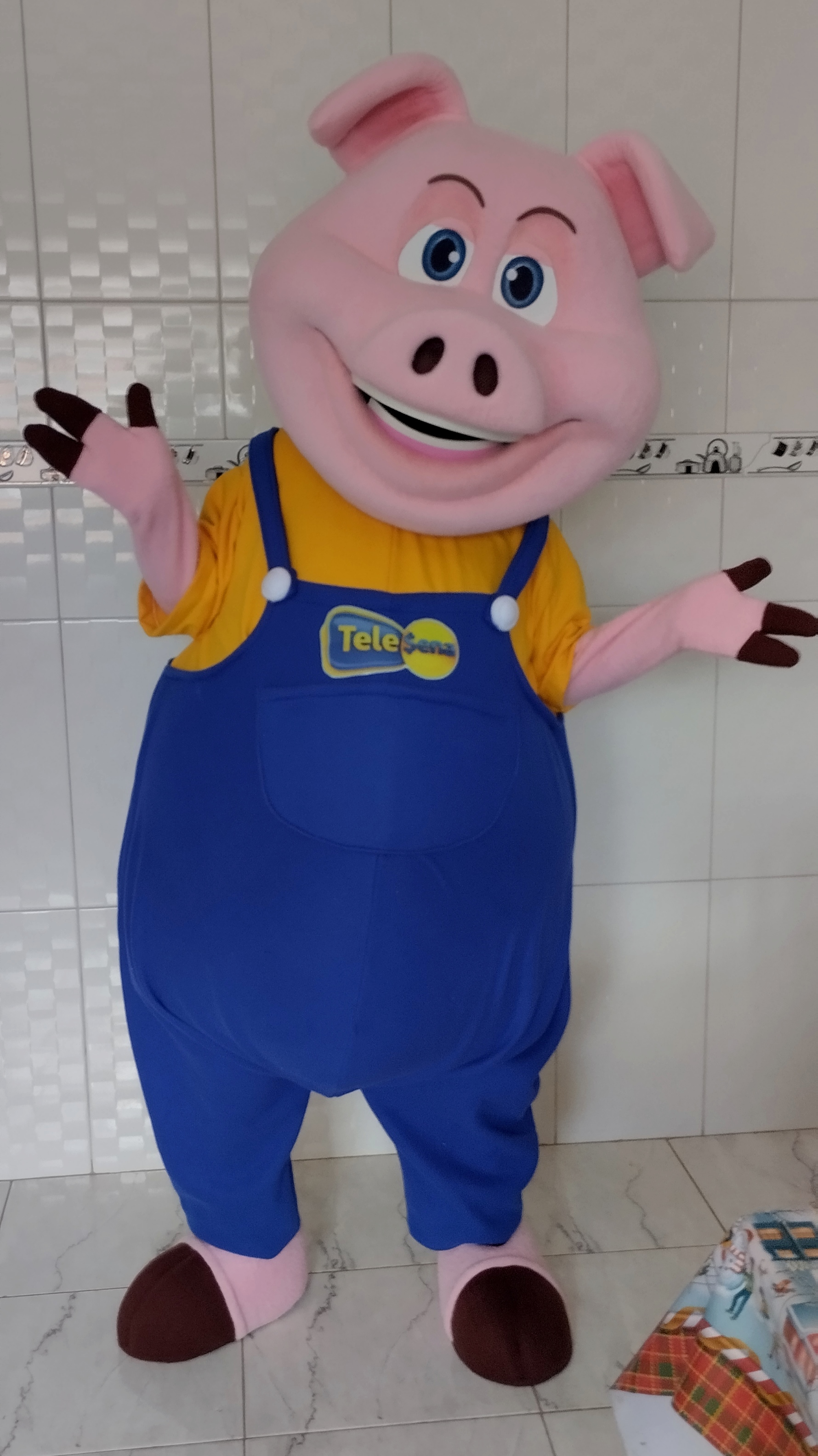 Mascote fantasia porco, fantasia, mascote, mascota, boneco de vestir, boneco cabeção