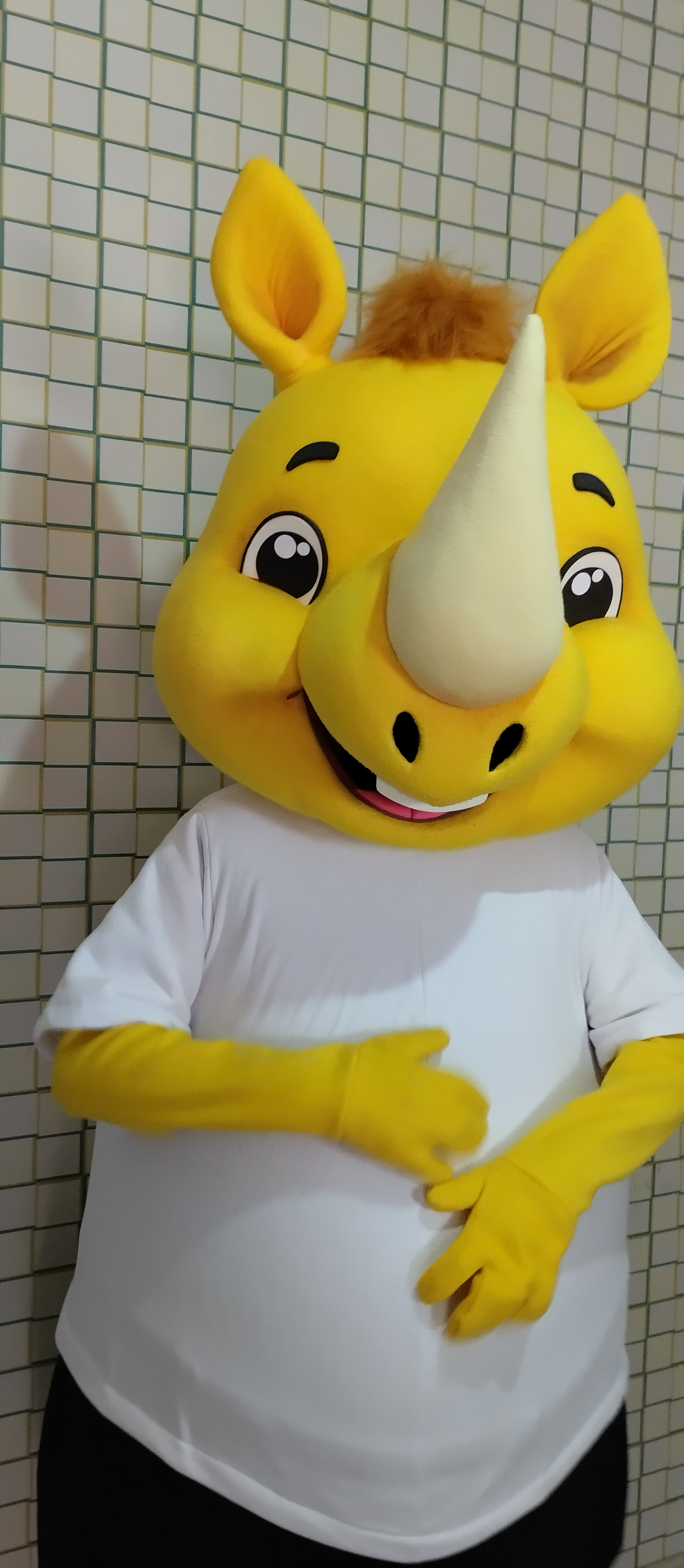 Mascote fantasia Rinoceronte , fantasia, mascote, mascota, boneco de vestir, boneco cabeção