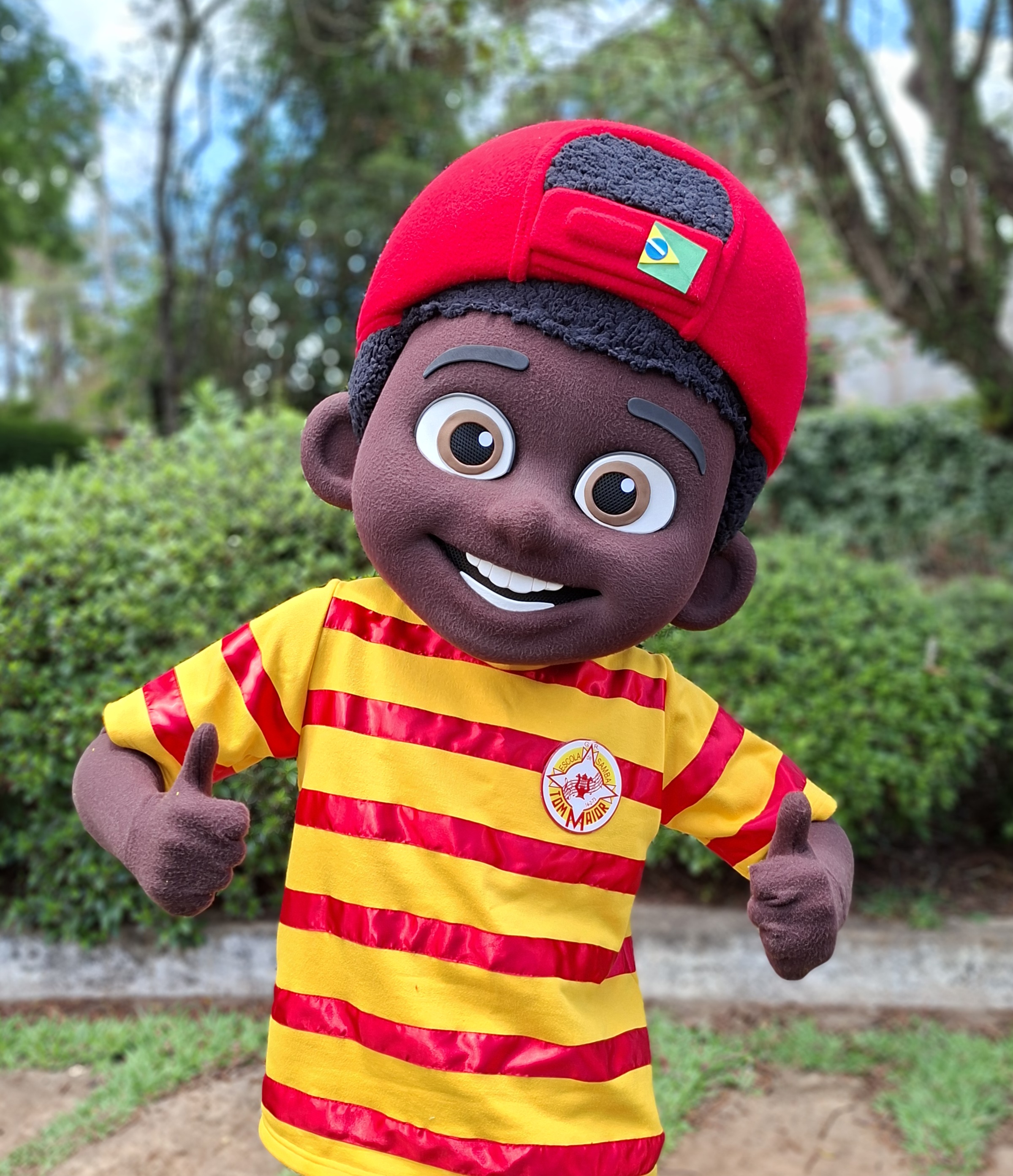 Mascote fantasia , fantasia, mascote, mascota, boneco de vestir, boneco cabeção